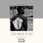 +263-(Made-In-ZW)-Artwork